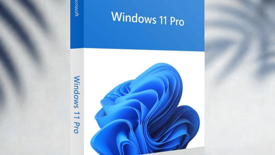 その他 Windows 11 Pro Microsoft microsoft-HAV-00162__14481.