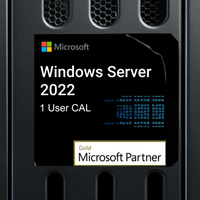 Thumbnail for Microsoft Windows Server 2022, 1 User CAL